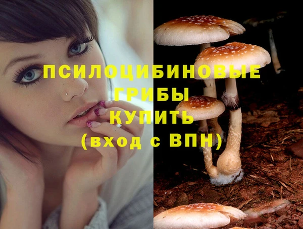 ALPHA PVP Арсеньев
