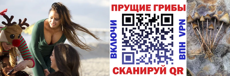 hydra   Осинники  Галлюциногенные грибы прущие грибы  что такое наркотик 
